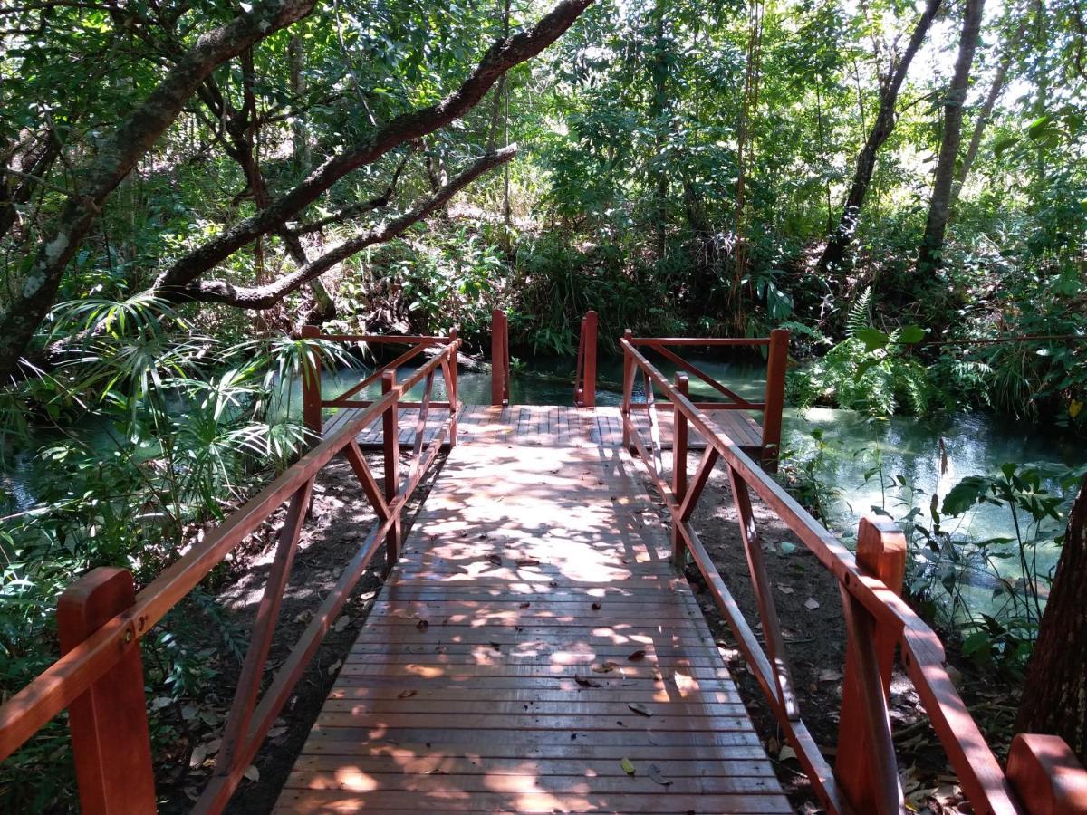 Pousada De Charme Formiga Ecolodge Mateiros 外观 照片